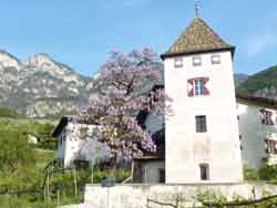 Kurtatsch